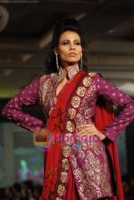 Model walks the ramp for Krishna Mehta Show at Indian Princess in J W Marriott on 25th Sept 2010 (29).JPG